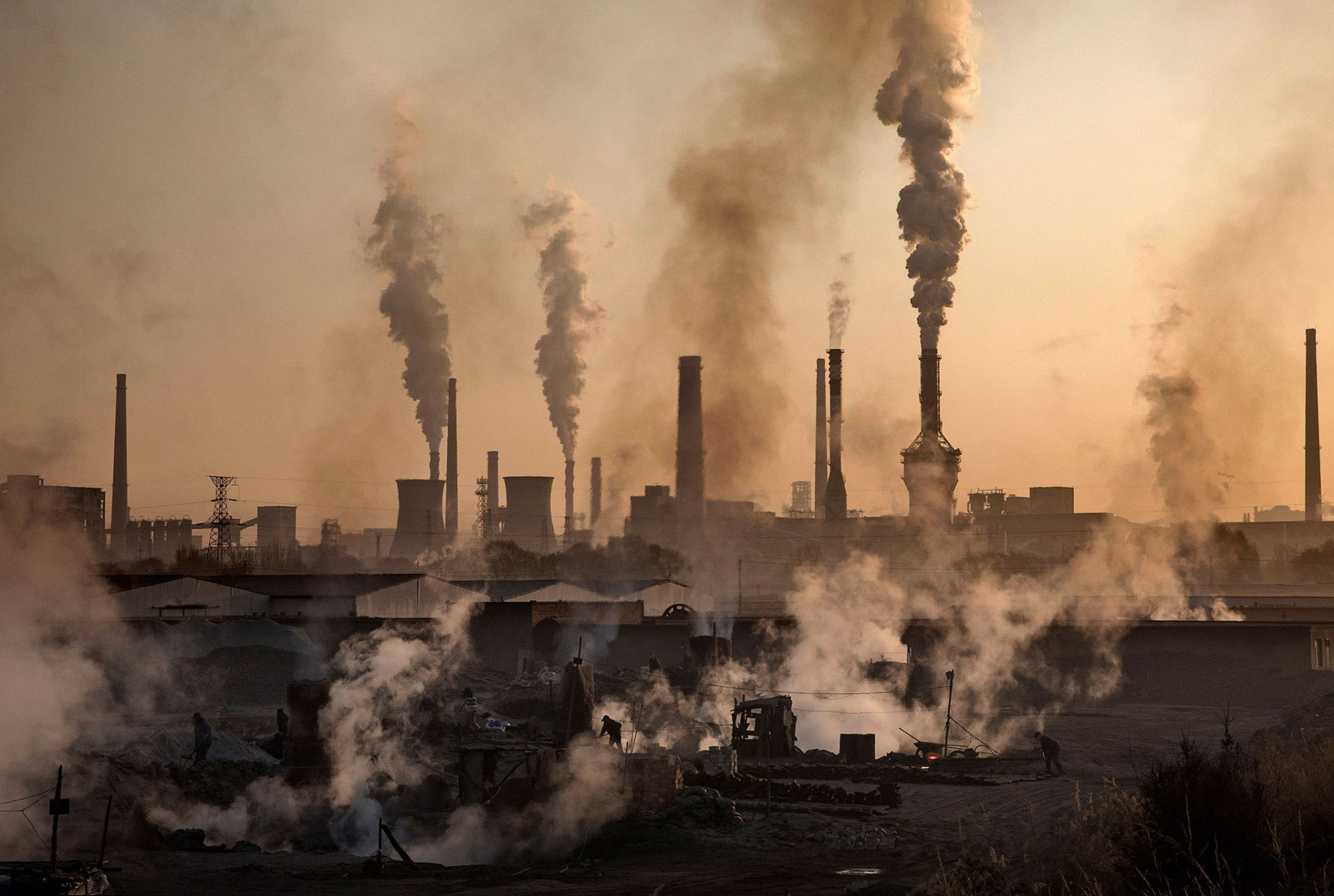 Longevity Briefs Air pollution is a serious risk factor for chronic
